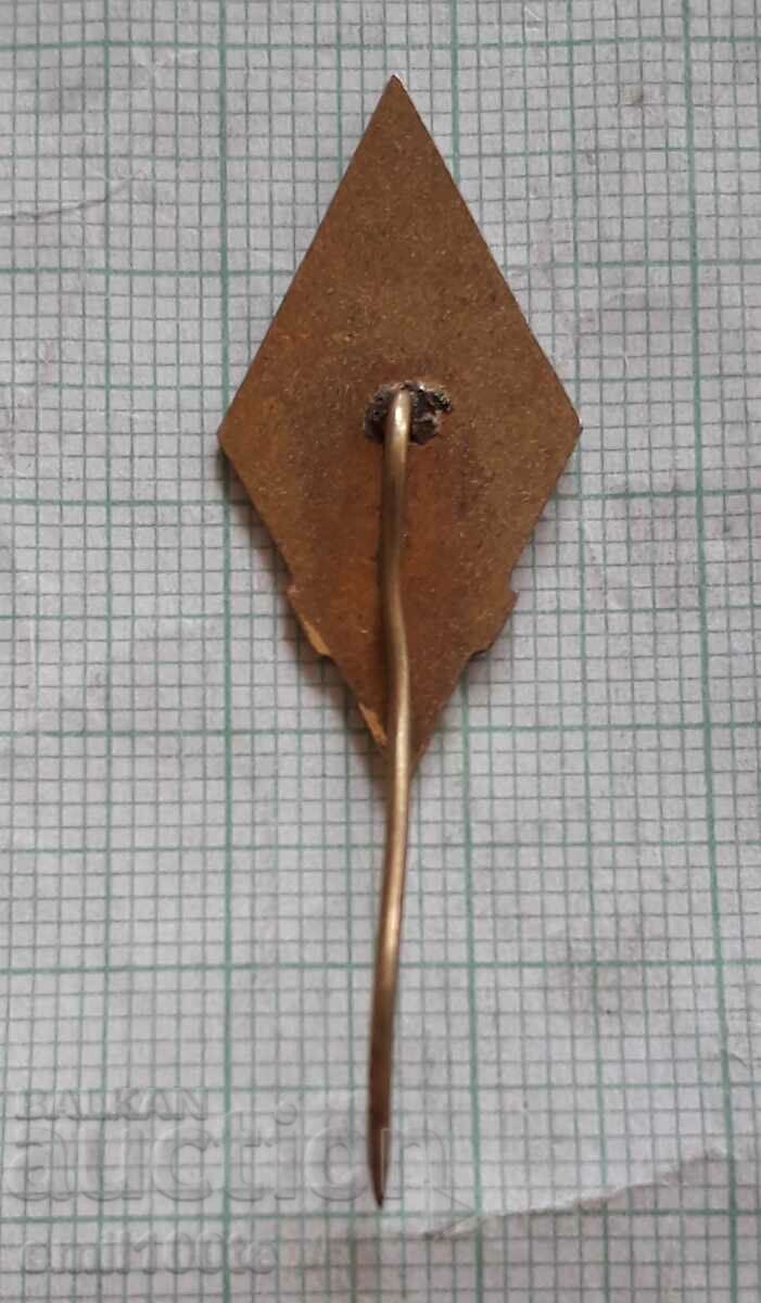 Delivery of Badge - DPO Fire Department Delivery of Badge - DPO Fire Department