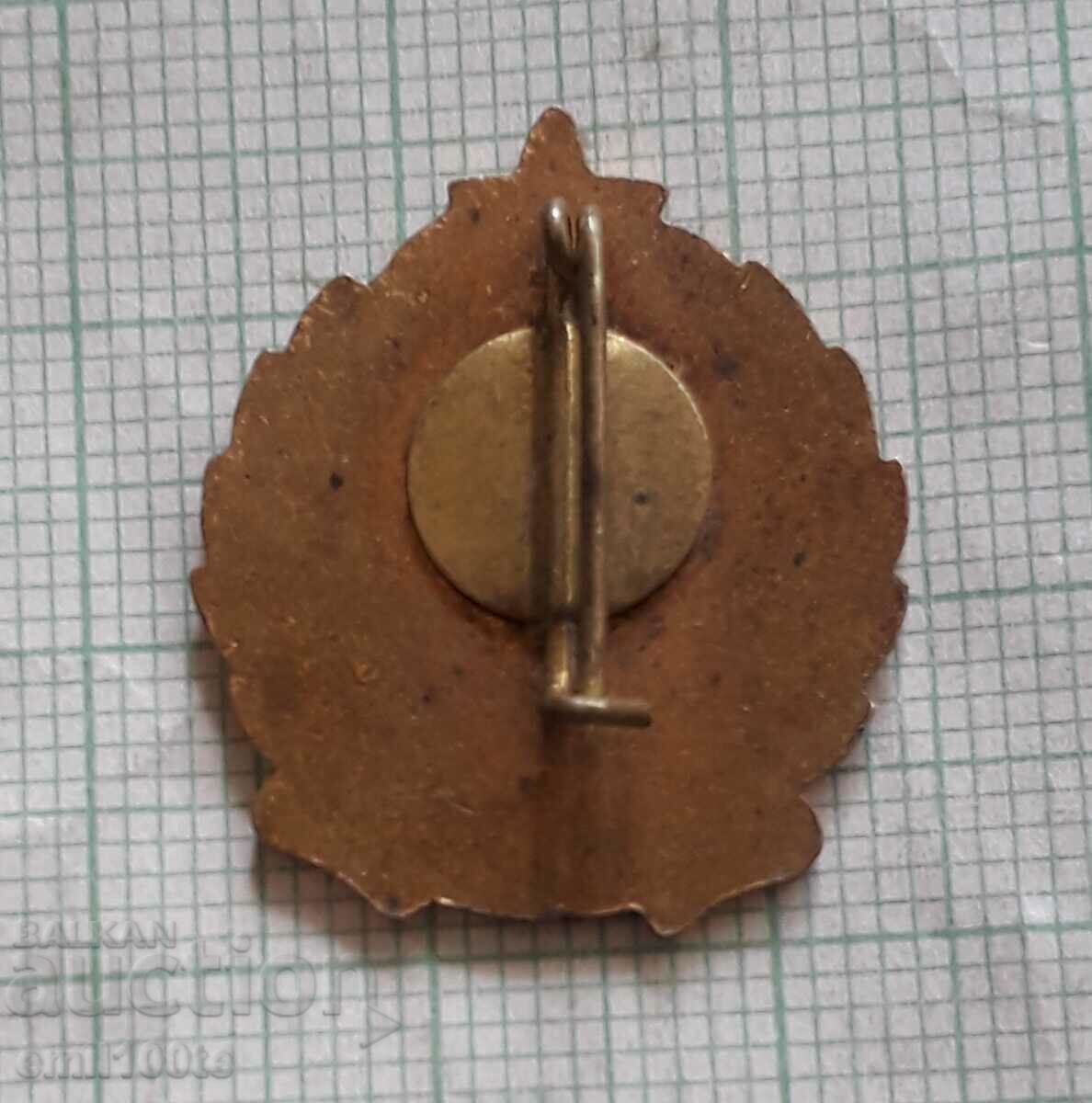 Delivery of Badge - 60 years Trade Union Hungary Delivery of Badge - 60 years Trade Union Hungary