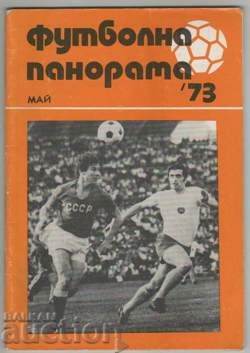 Football panorama 1973 May program