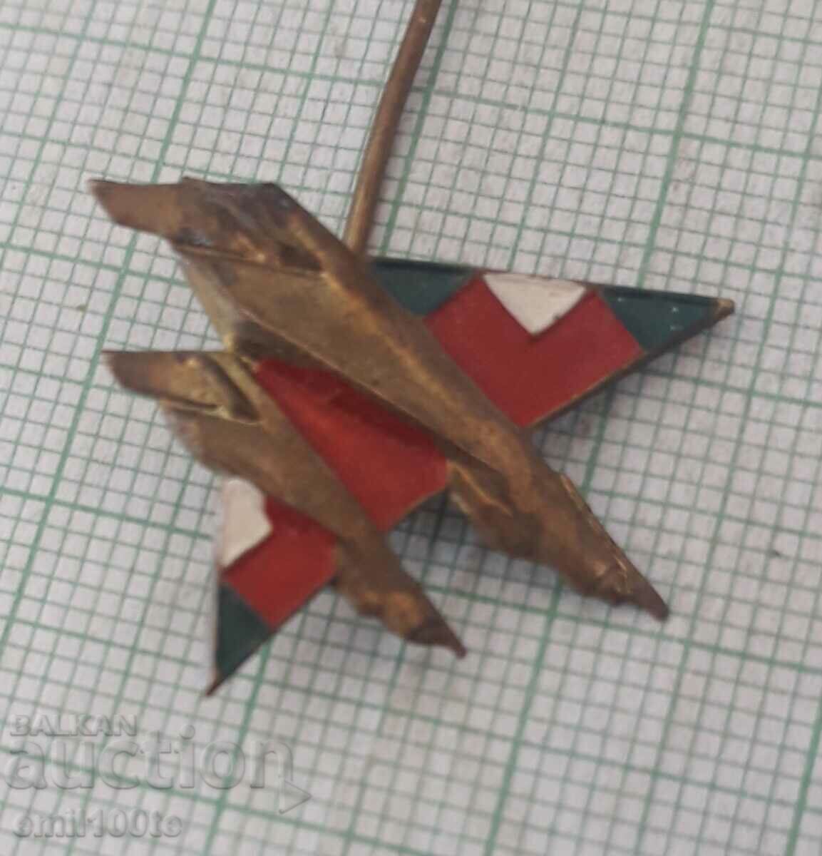 Insigna - Avion de luptă Aviație militară - 5