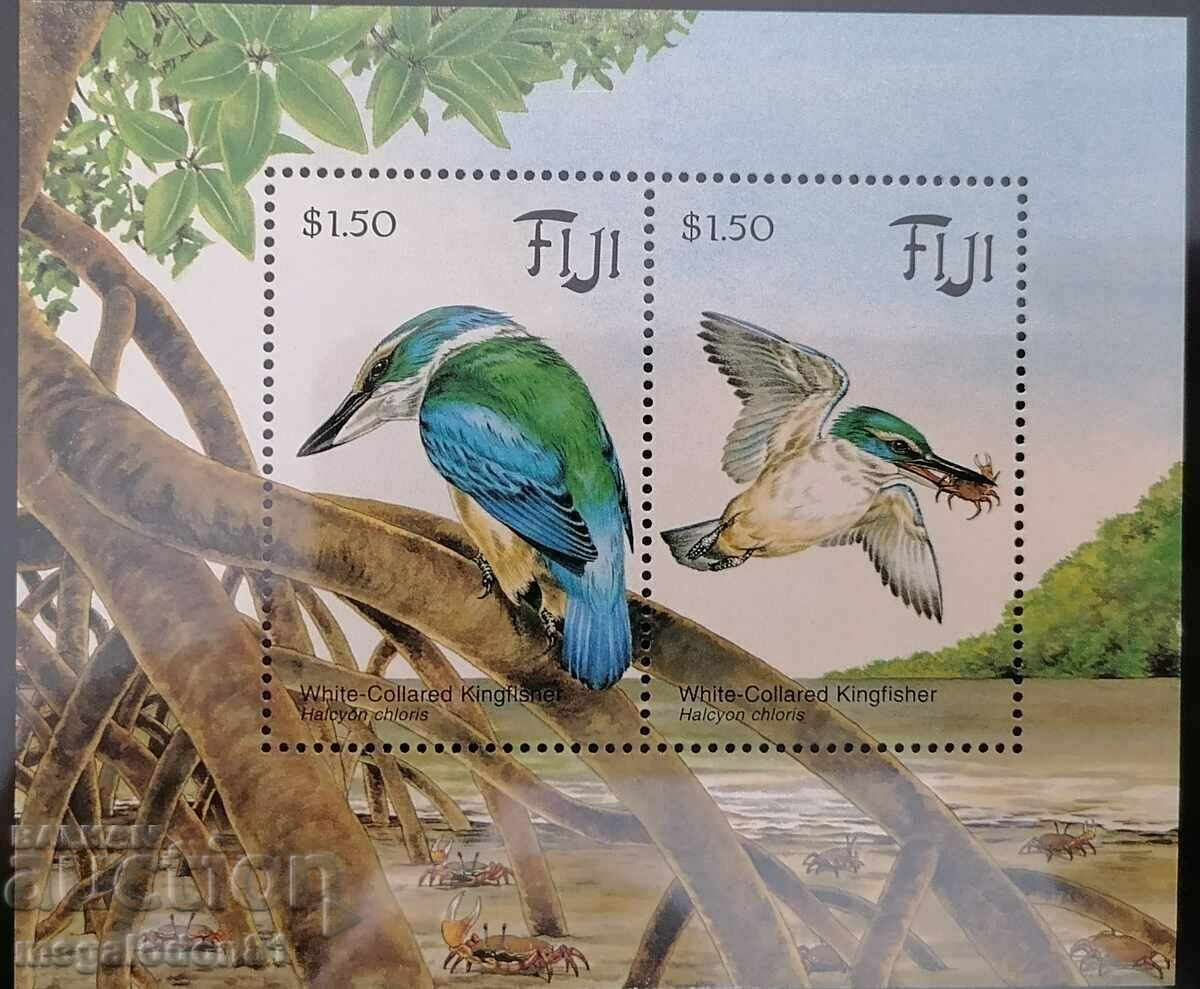 Fiji - fauna, kingfisher