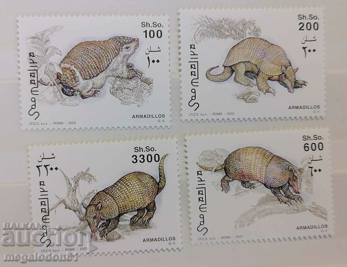 Somalia - fauna, armadillos Somalia - fauna, armadillos