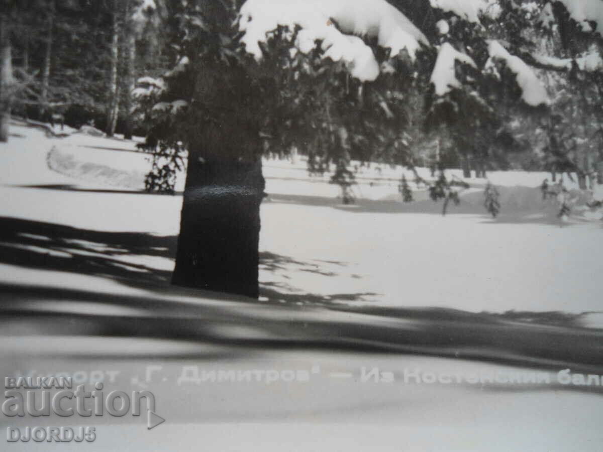 Old postcard, Resort "G. Dimitrov" - Iz Kostenskii Balkan with price 2.00 BGN | € 1.02 Old postcard, Resort "G. Dimitrov" - Iz Kostenskii Balkan with price 2.00 BGN | € 1.02