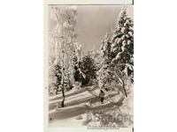 Card Bulgaria Winter landscape 28**