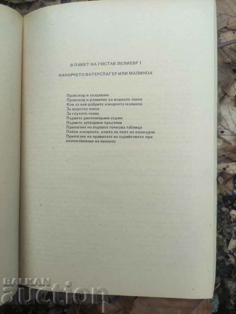 Auction  Guide to the Waterslager (Malinois) Singing Canary