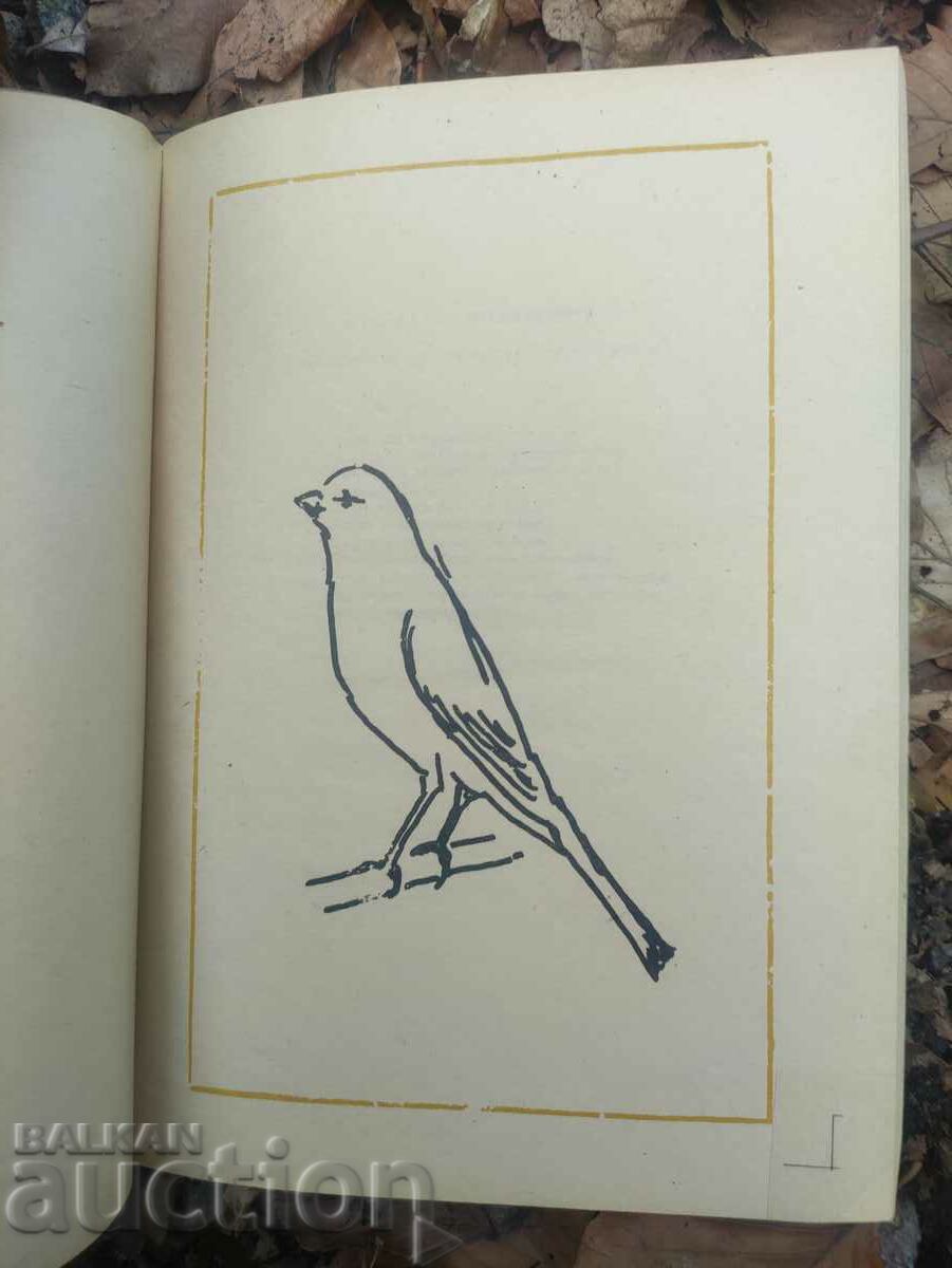 Delivery of Guide to the Waterslager (Malinois) Singing Canary