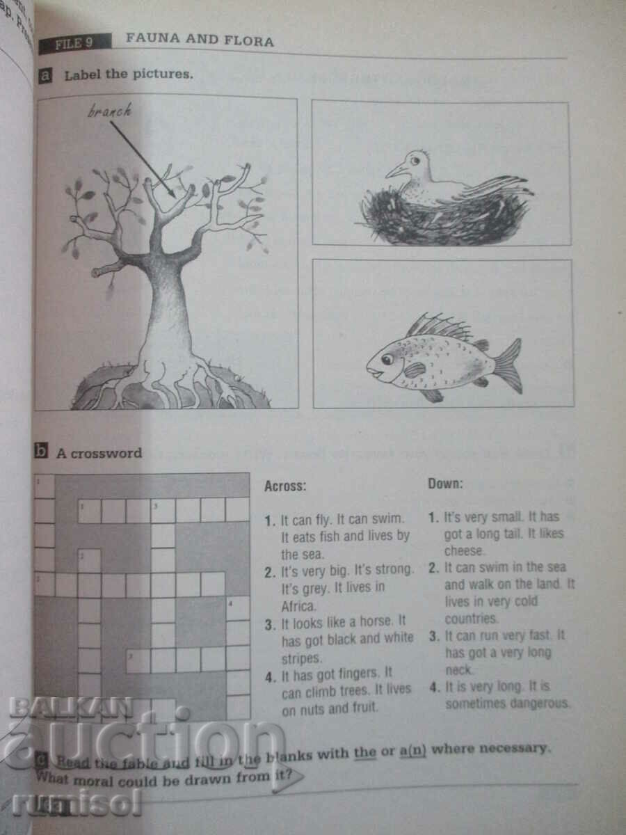 Prospects - An English Workbook for the 8th class with price 6.89 BGN | € 3.52 Prospects - An English Workbook for the 8th class with price 6.89 BGN | € 3.52