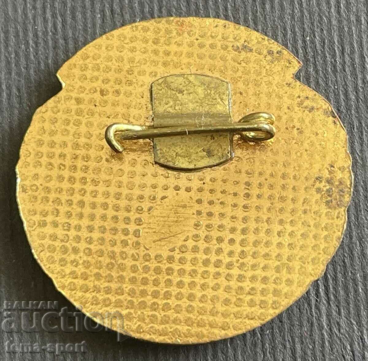 293 Bulgaria badge Master of Sports NRB enamel with price 15.00 BGN | € 7.67