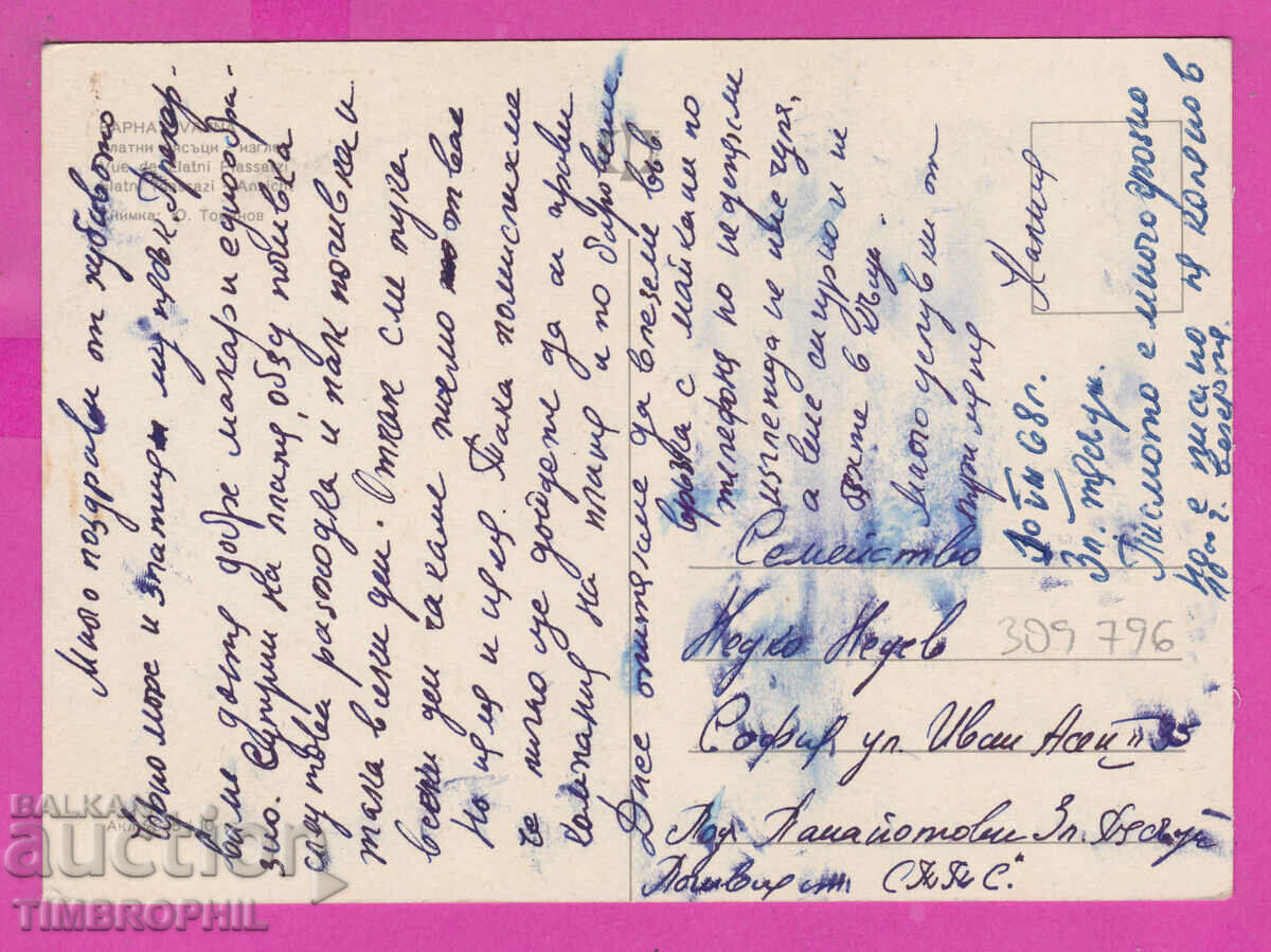 309796 / Golden sands Hotels the beach Akl-2535 Fotoizdat PK with price 1.80 BGN | € 0.92 309796 / Golden sands Hotels the beach Akl-2535 Fotoizdat PK with price 1.80 BGN | € 0.92