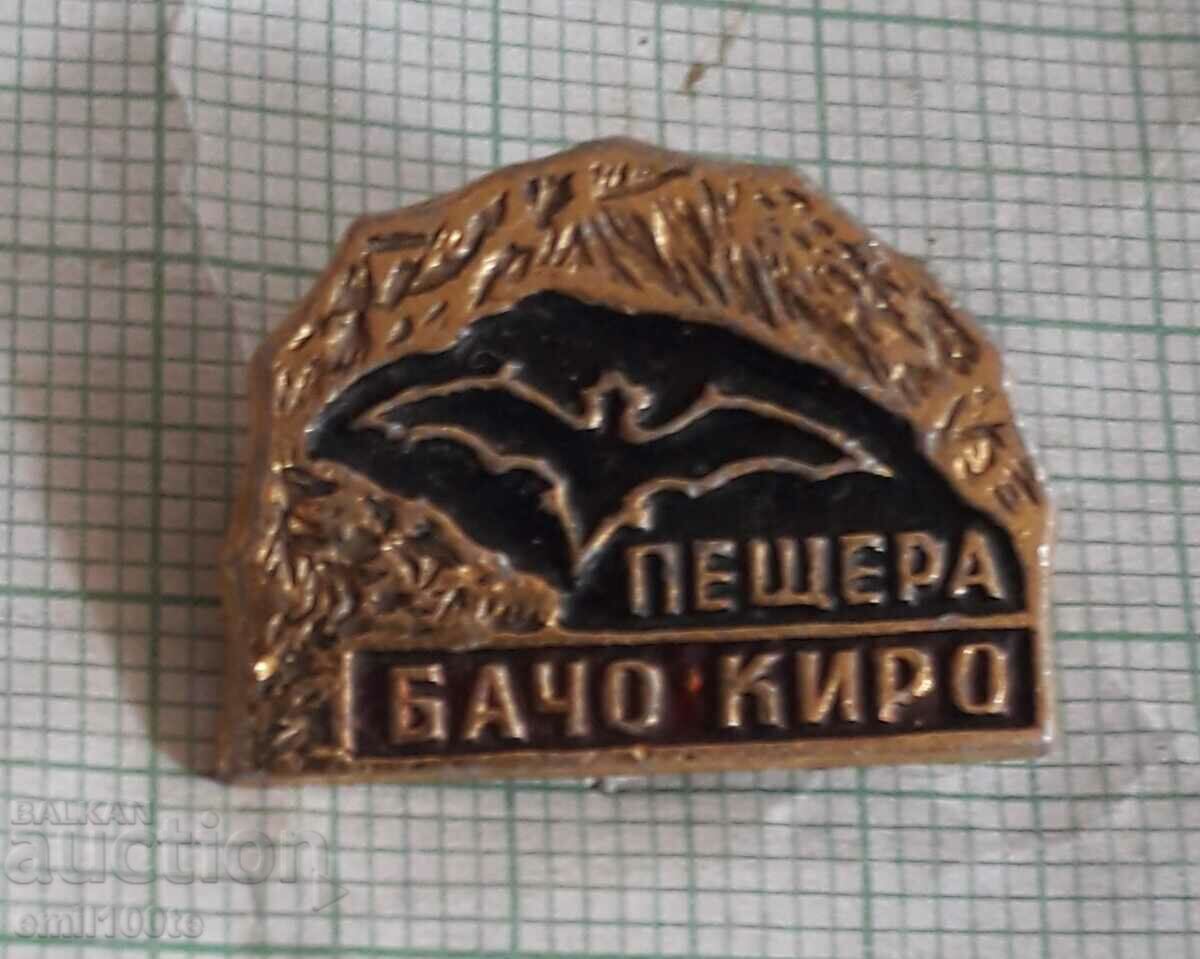 Badge - Bacho Kiro Cave