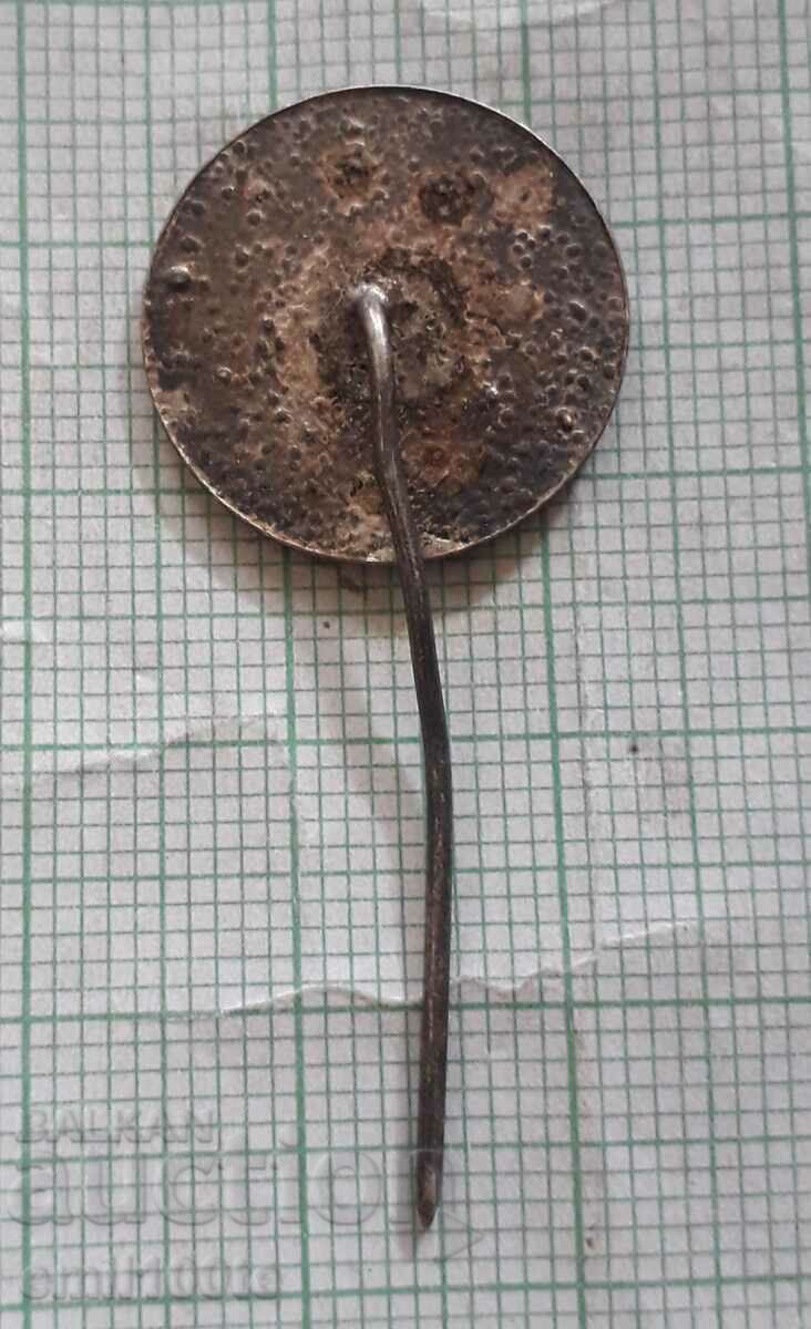 Delivery of Badge - Strength and beauty Delivery of Badge - Strength and beauty