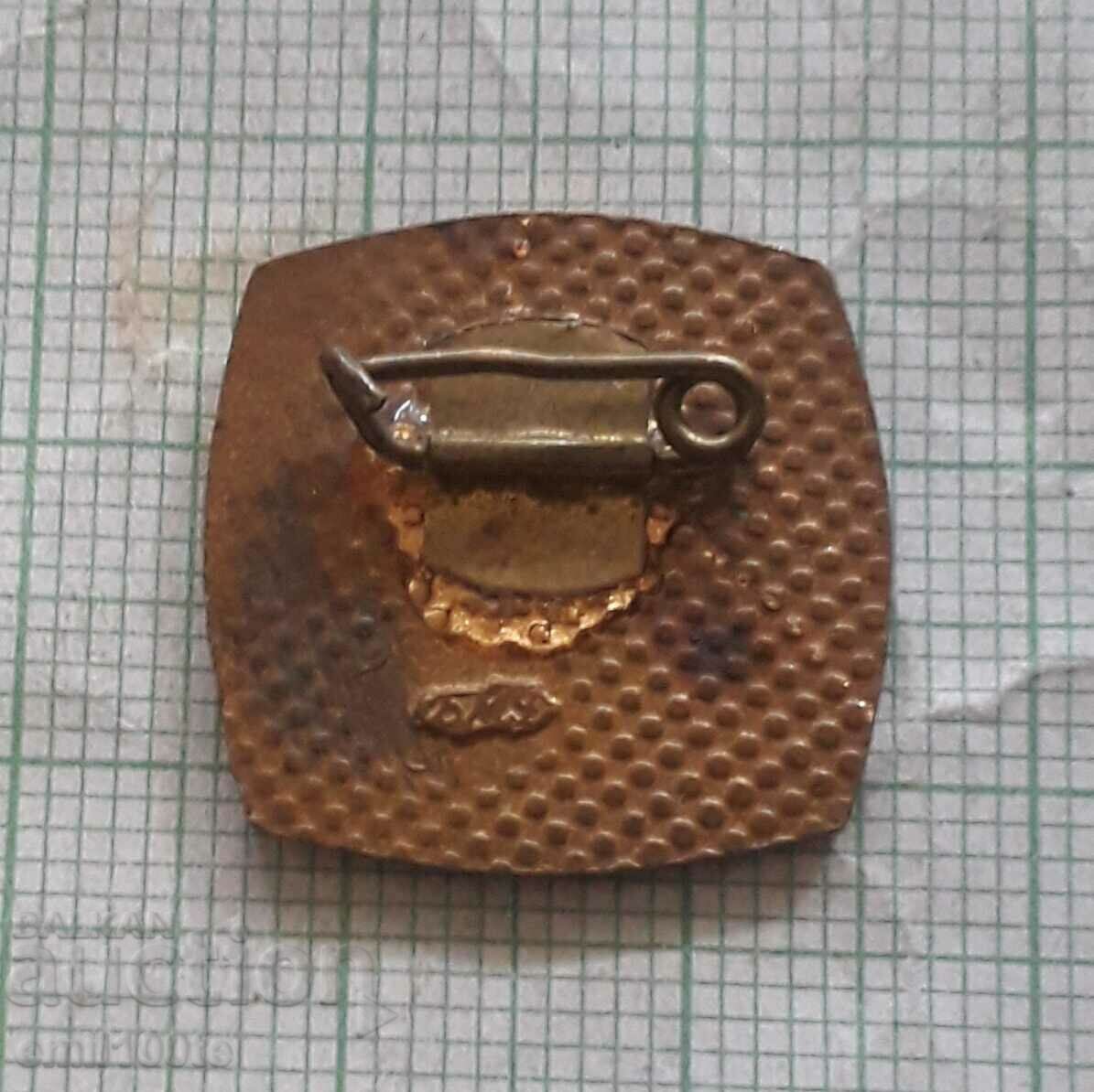 Delivery of Badge - Young Dimitrovtsi Delivery of Badge - Young Dimitrovtsi