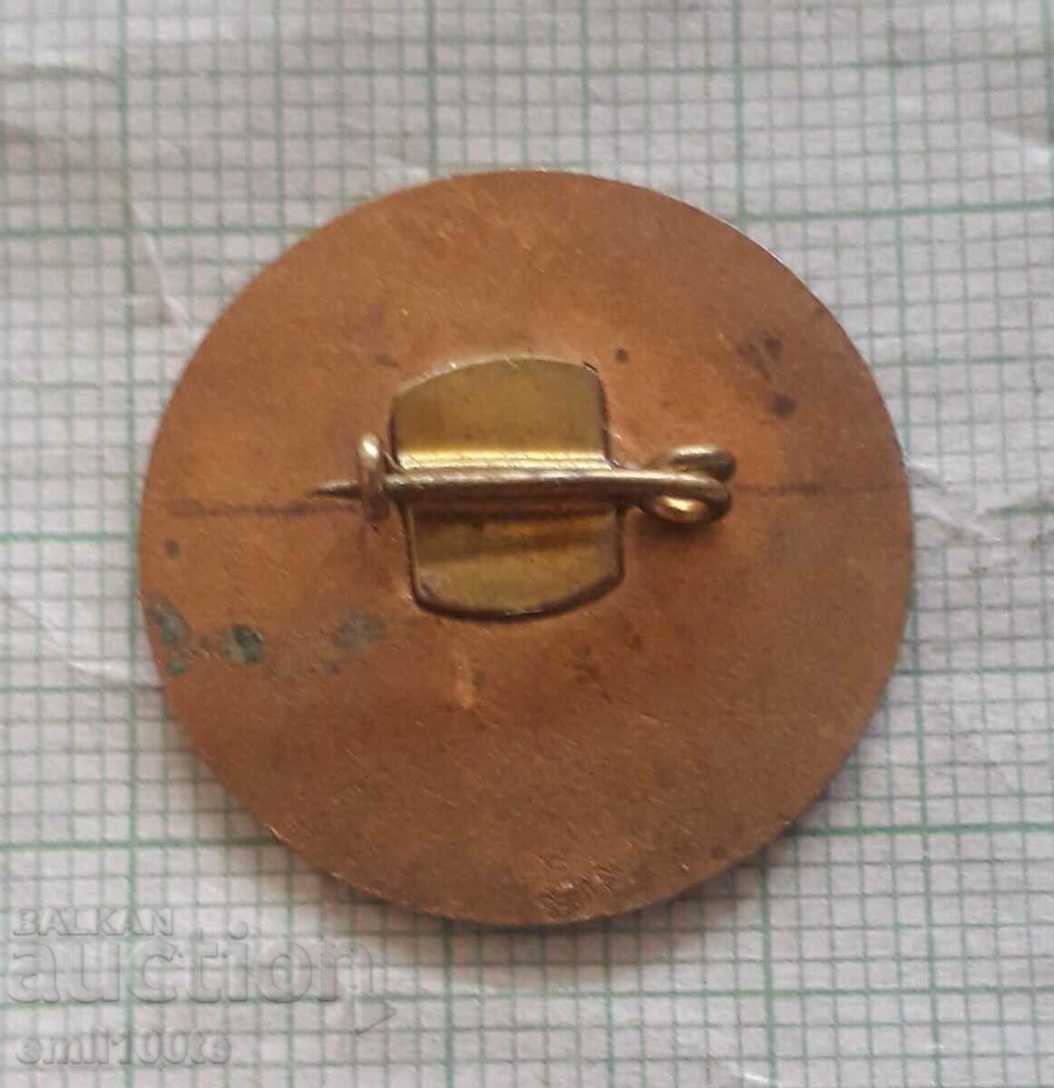 Delivery of Badge - 10 years Kremikovci 1963 - 1973 Delivery of Badge - 10 years Kremikovci 1963 - 1973