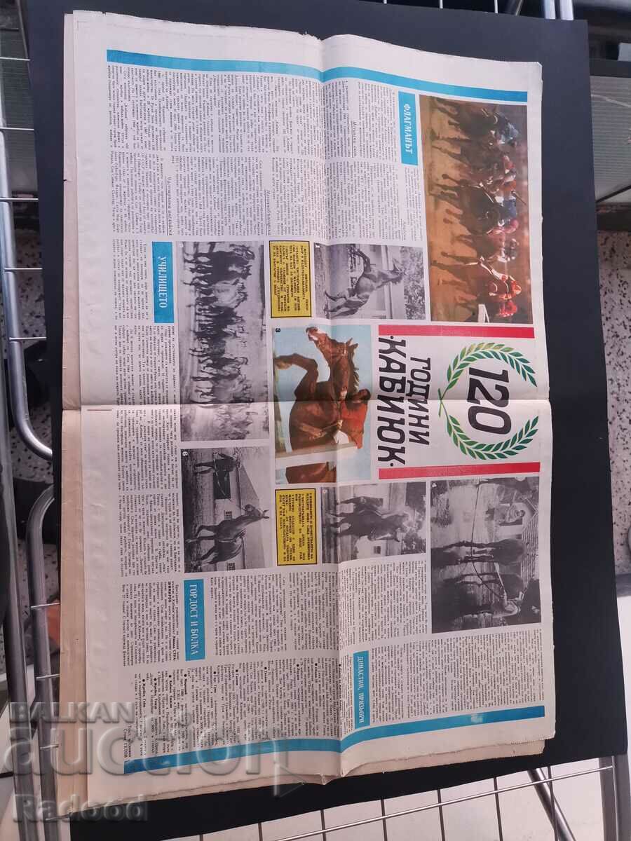 V-k "Start" Number 698/1984 with price 5.00 BGN | € 2.56 V-k "Start" Number 698/1984 with price 5.00 BGN | € 2.56