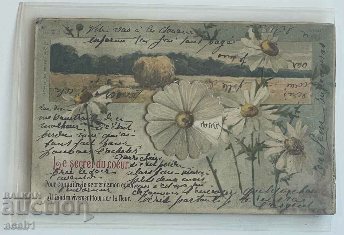 Auction  Card from 1903