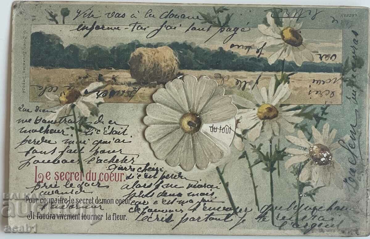 Card din 1903