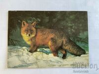 Card USSR "Fox" 1990