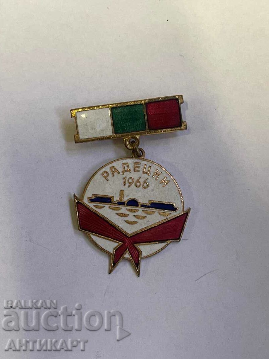 rare sign The ship Radetsky 1966 year medal badge enamel