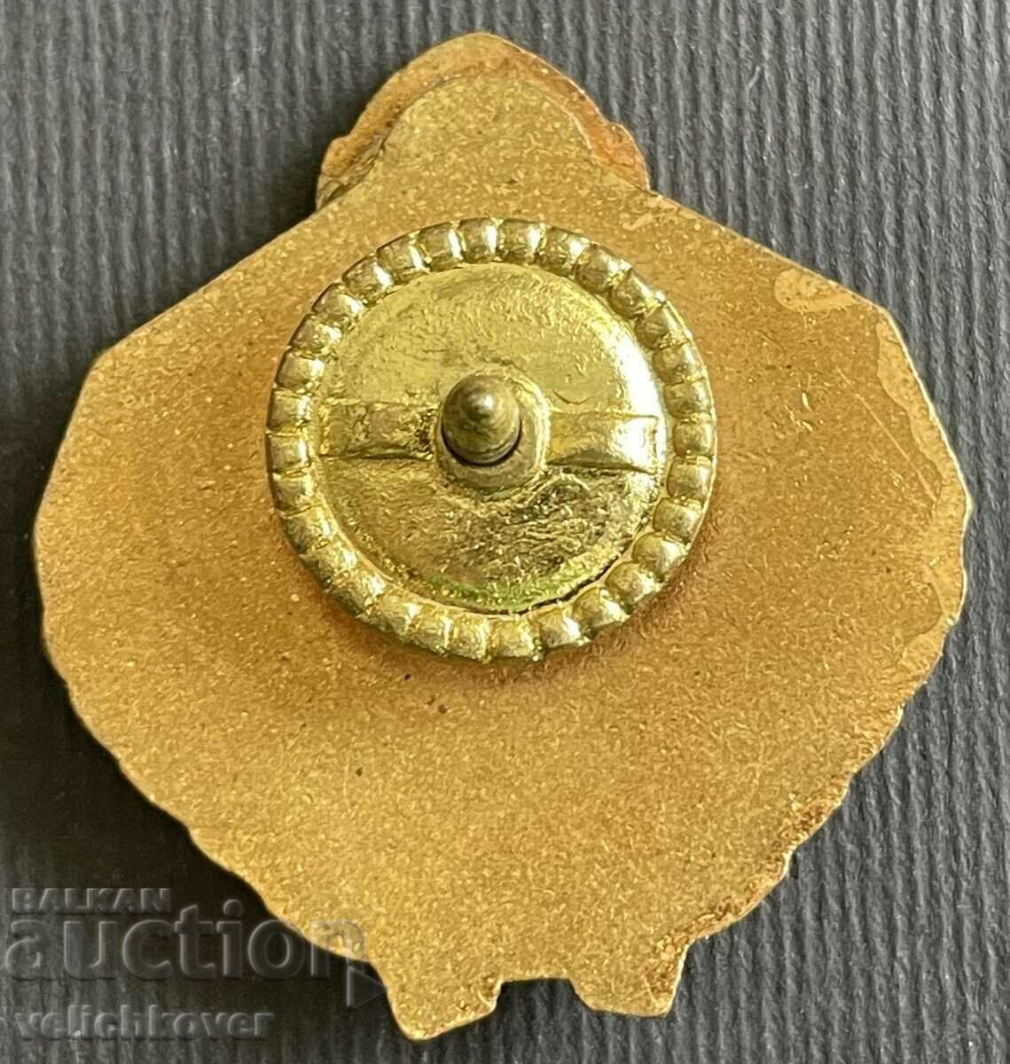 36584 Romania insignia Excellent signalman of the Romanian Army with price 15.00 BGN | € 7.67 36584 Romania insignia Excellent signalman of the Romanian Army with price 15.00 BGN | € 7.67