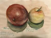 Sketch drawing with water colors, watercolor - Still life - Fruits