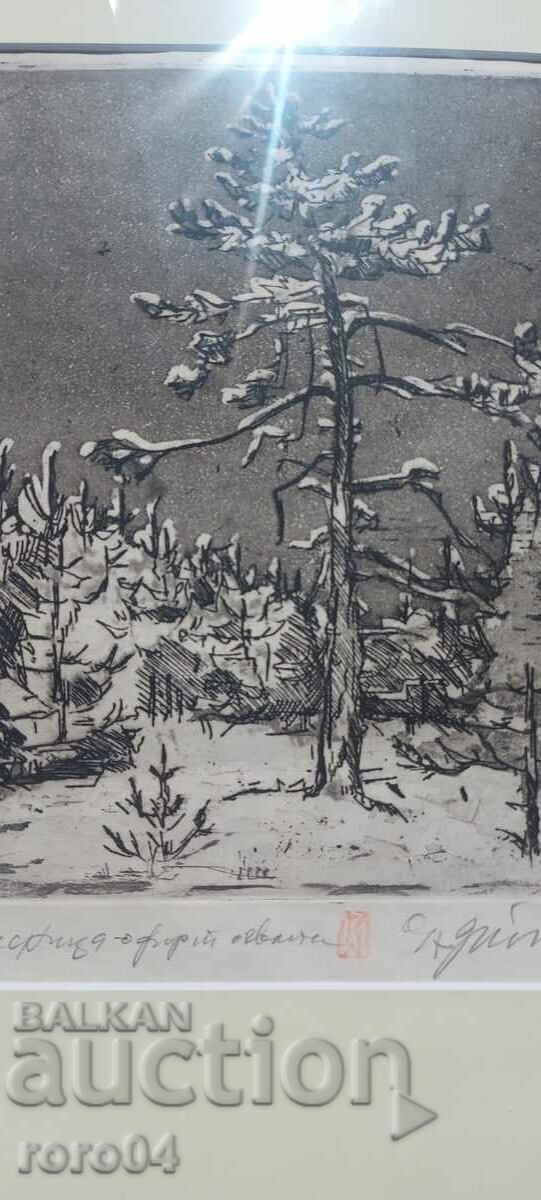 ZAFIR YONCHEV ( 1924 - 2006 ) PASHENITSA - 7
