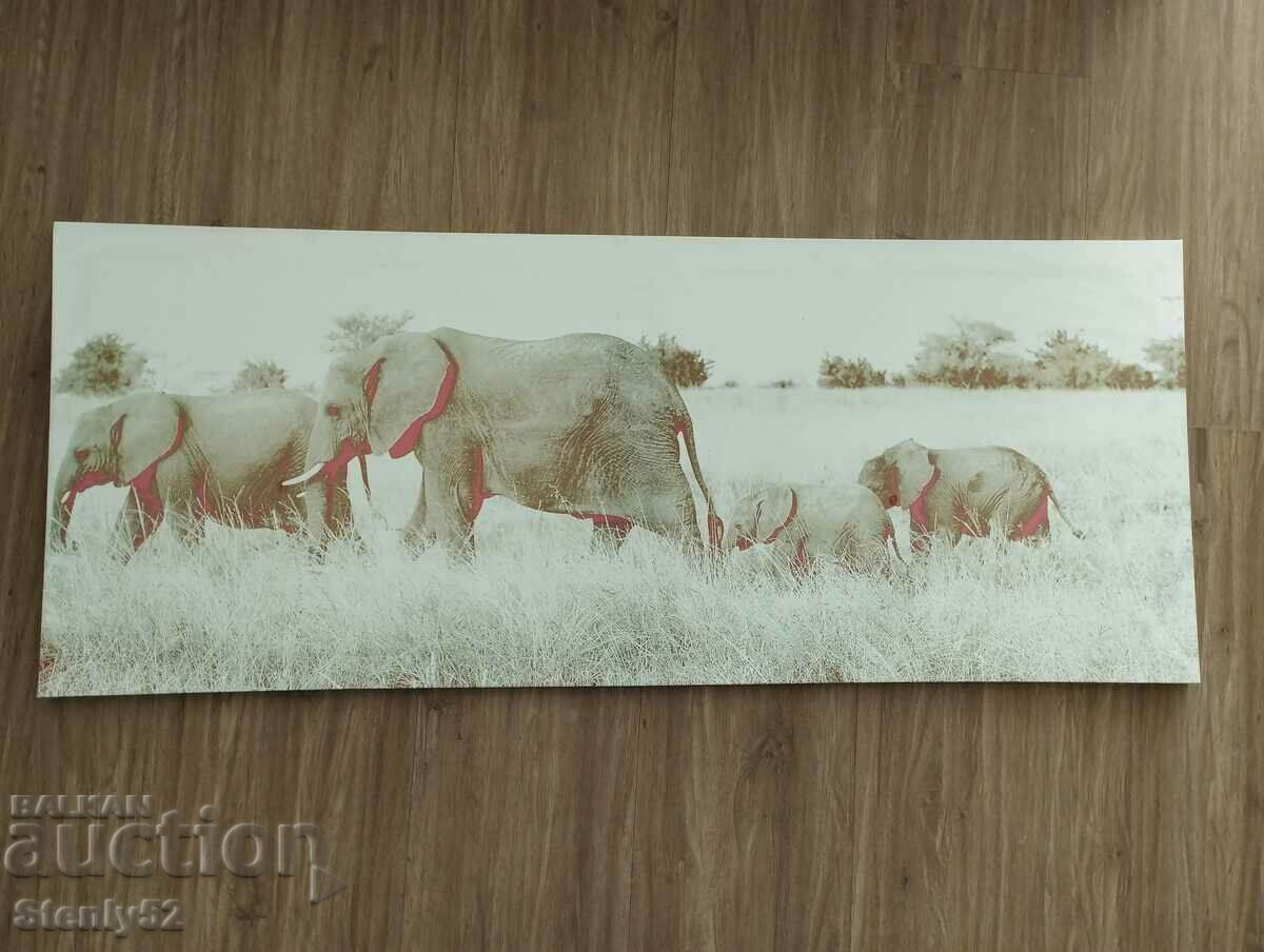 Poză înrămată „Elefanți” pe vinil.