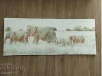 Framed picture "Elephants" on vinyl.