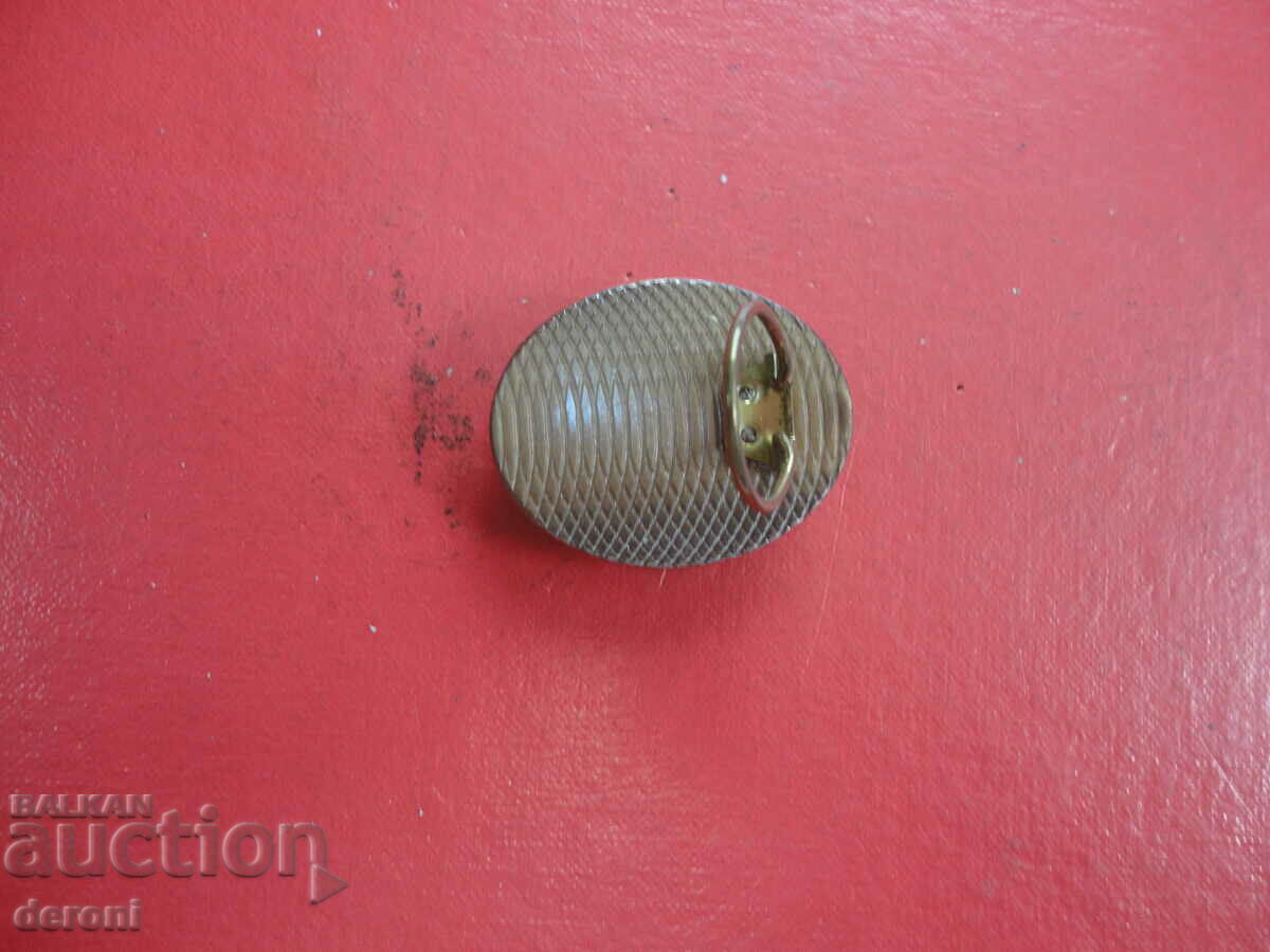 A cameo - 5 A cameo - 5