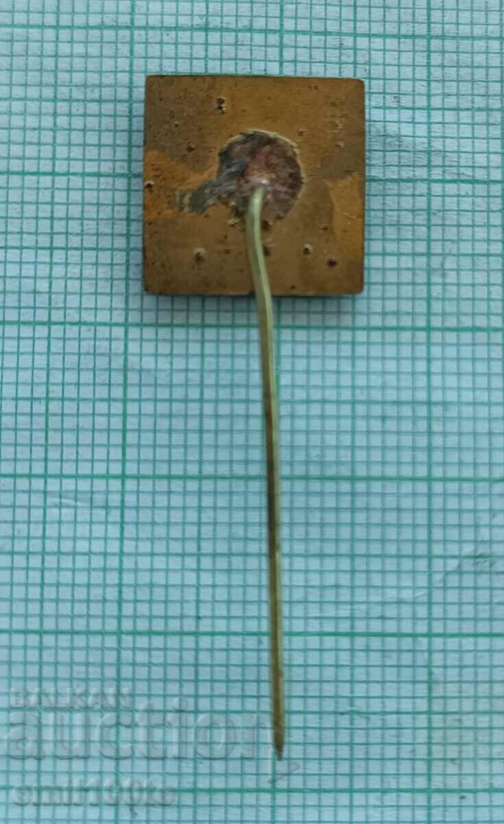 Insigna - Bulgaria - 5