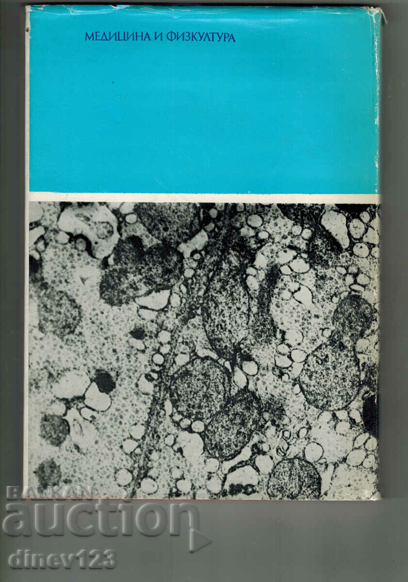 FUNDAMENTALS OF ULTRASTRUCTURAL PATHOLOGY - L. KRESTEV with price 7.50 BGN | € 3.83 FUNDAMENTALS OF ULTRASTRUCTURAL PATHOLOGY - L. KRESTEV with price 7.50 BGN | € 3.83