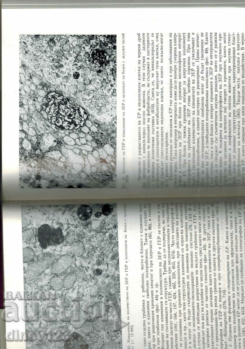Auction FUNDAMENTALS OF ULTRASTRUCTURAL PATHOLOGY - L. KRESTEV Auction FUNDAMENTALS OF ULTRASTRUCTURAL PATHOLOGY - L. KRESTEV
