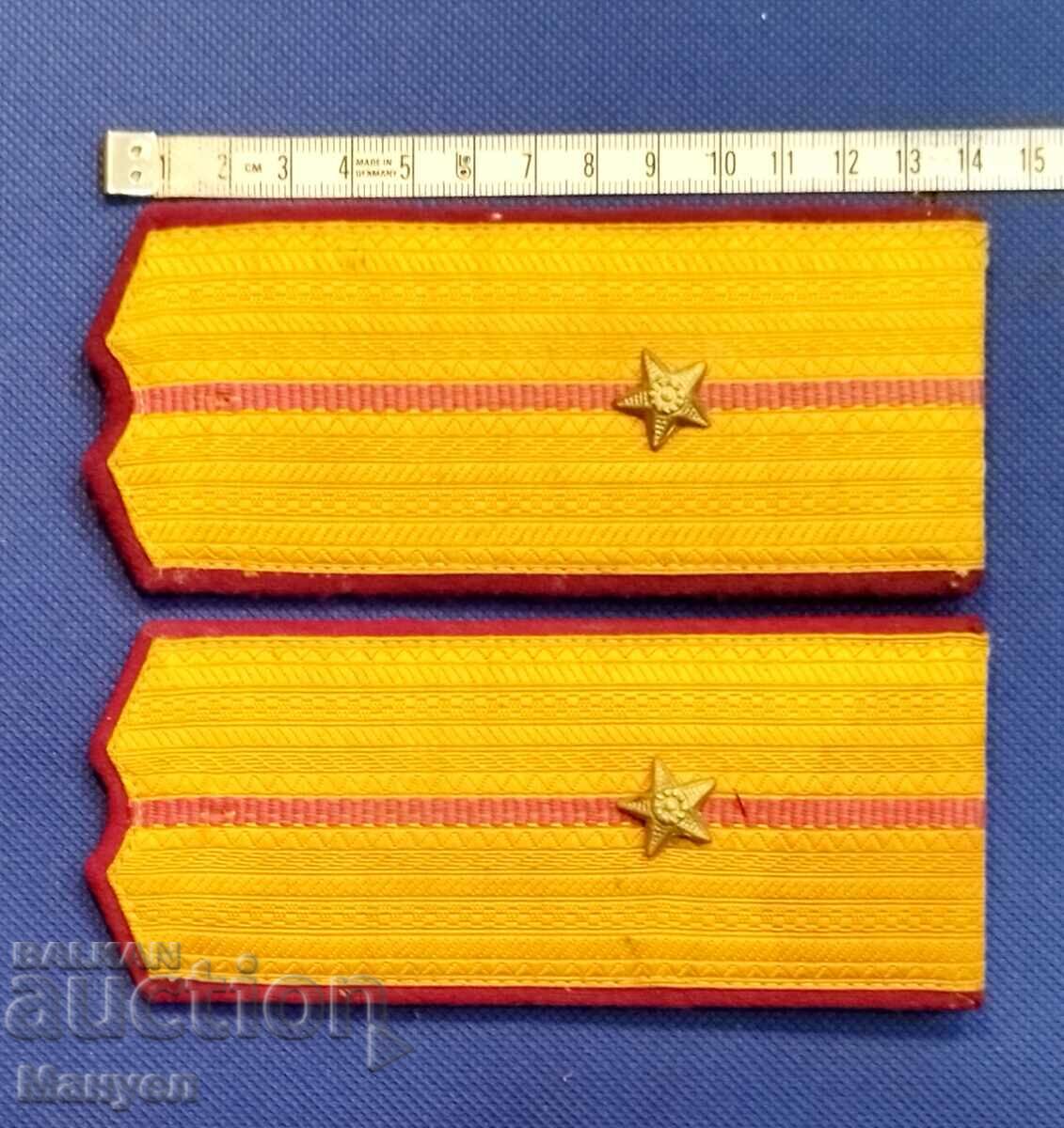 Rare early DS shoots. with price 49.90 BGN | € 25.51 Rare early DS shoots. with price 49.90 BGN | € 25.51