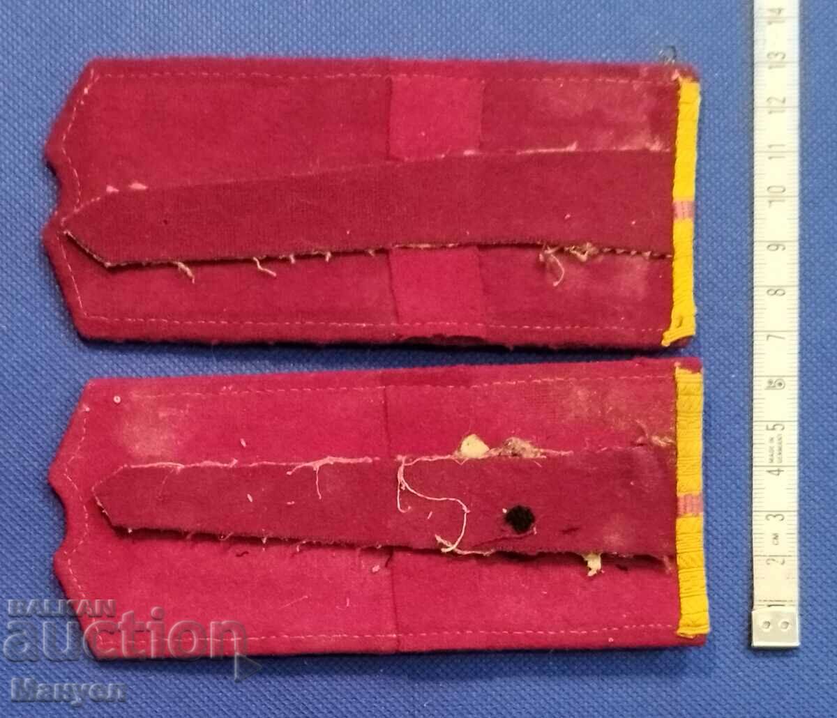 Auction Rare early DS shoots. Auction Rare early DS shoots.