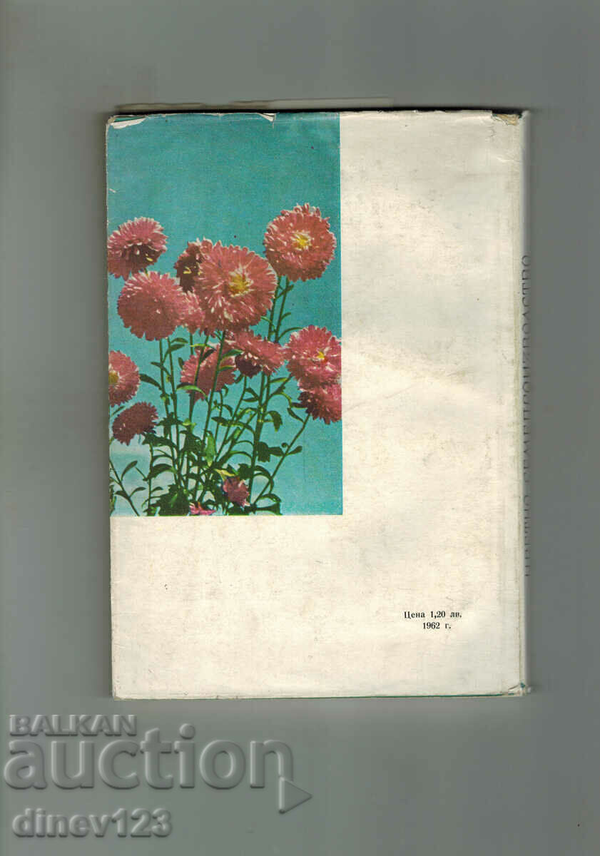 COLOR SEED PRODUCTION - N. NIKOLOVA with price 8.00 BGN | € 4.09 COLOR SEED PRODUCTION - N. NIKOLOVA with price 8.00 BGN | € 4.09