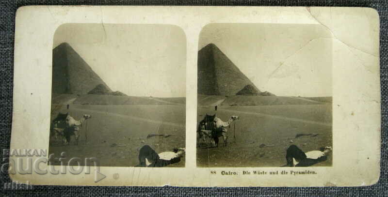 1904 Каиро пирамида камила стерео картичка стереокартичка