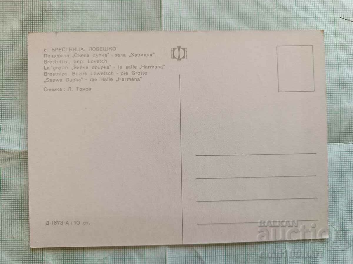 Card - Saeva Dupka Brestnitsa Cave with price 0.50 BGN | € 0.26 Card - Saeva Dupka Brestnitsa Cave with price 0.50 BGN | € 0.26