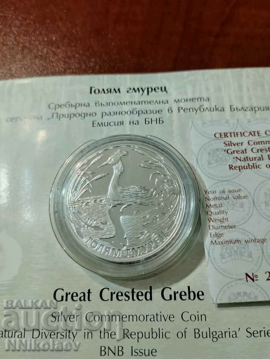 BGN 10, 2022. Big grebe