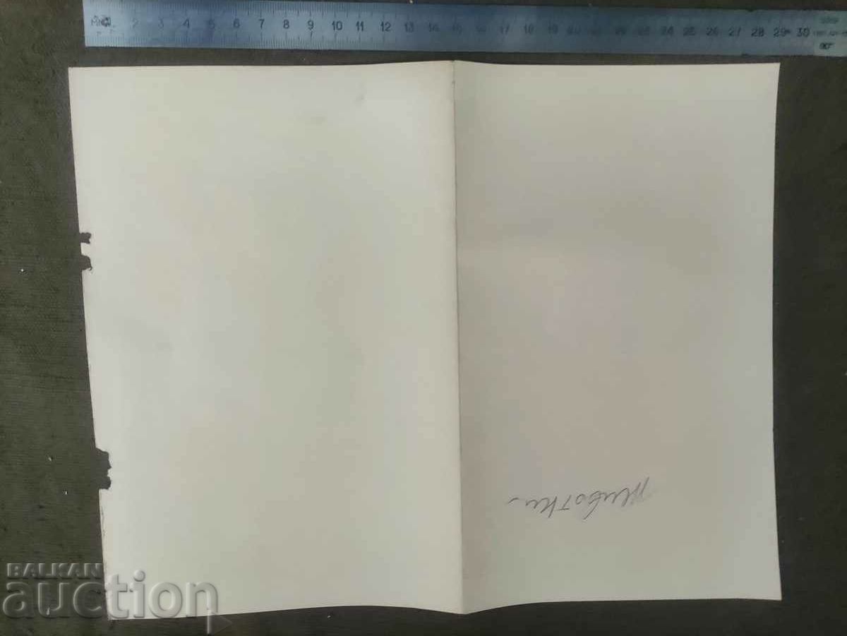 Harta vegetației - HR. G. Danov Plovdiv cu preț 20.00 BGN | € 10.23