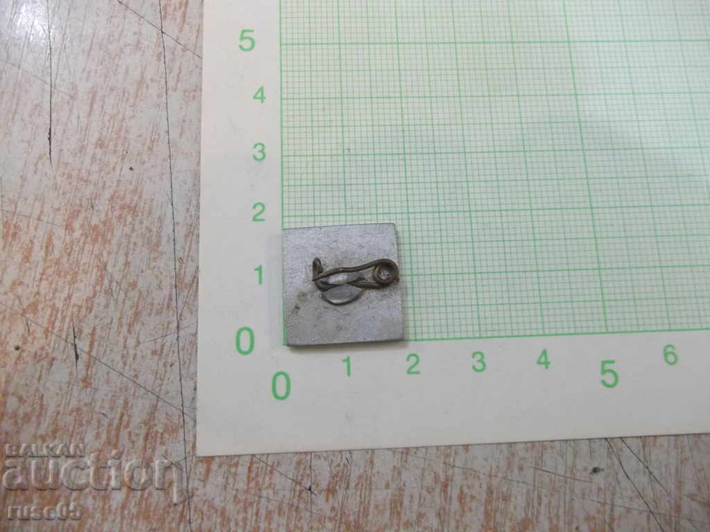 Badge "Peter Karaminchev - Ruse" with price 1.00 BGN | € 0.51 Badge "Peter Karaminchev - Ruse" with price 1.00 BGN | € 0.51