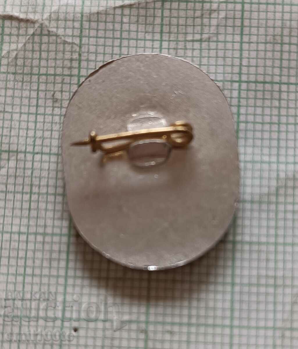 Badge - DFS Iskar Sofia - 5 Badge - DFS Iskar Sofia - 5