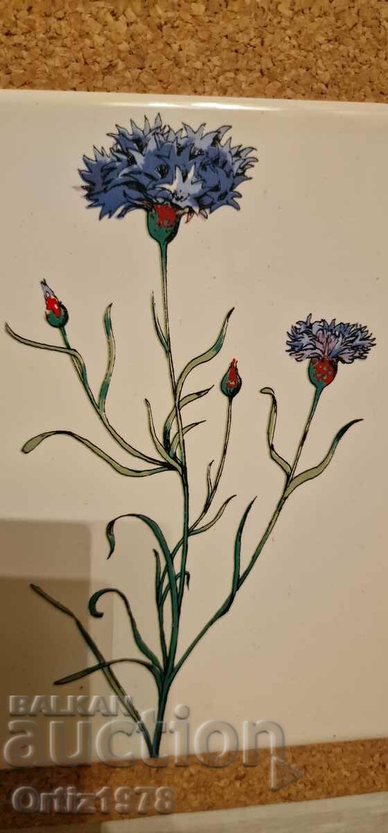 Аукцион Голяма коркова подложка, рисувана порцеланова плочка, синчец Аукцион Голяма коркова подложка, рисувана порцеланова плочка, синчец