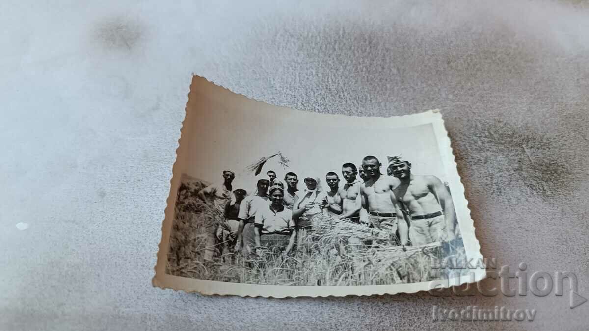 Εικόνα Γυναίκες και άνδρες γυμνοί μέχρι τη μέση σε ένα χωράφι με σιτάρι