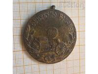 Illuminated Kosovo Medal 1912