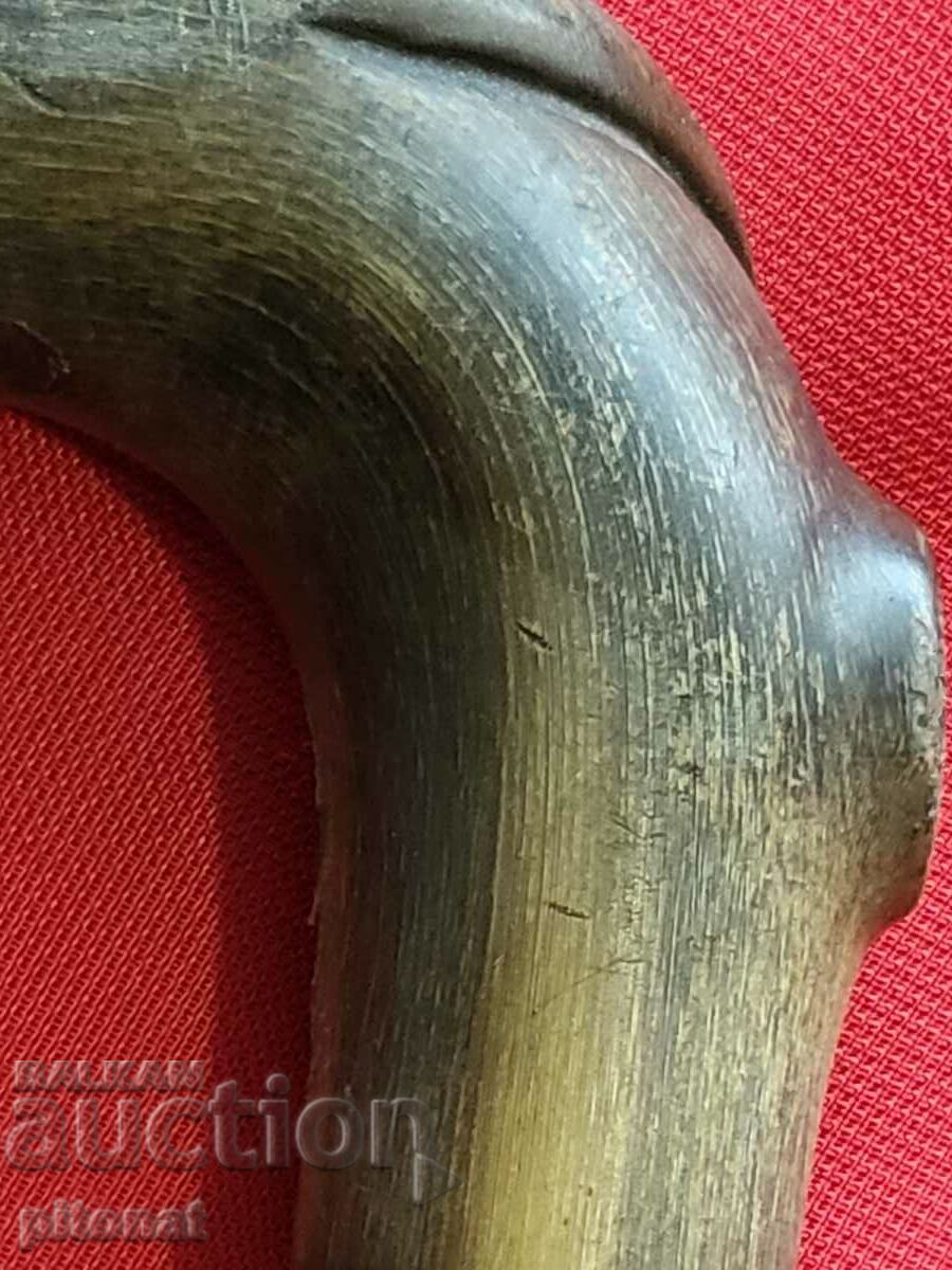 Antique cane silver rhinoceros horn - 5 Antique cane silver rhinoceros horn - 5