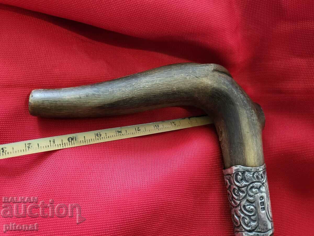 Antique cane silver rhinoceros horn - 6 Antique cane silver rhinoceros horn - 6