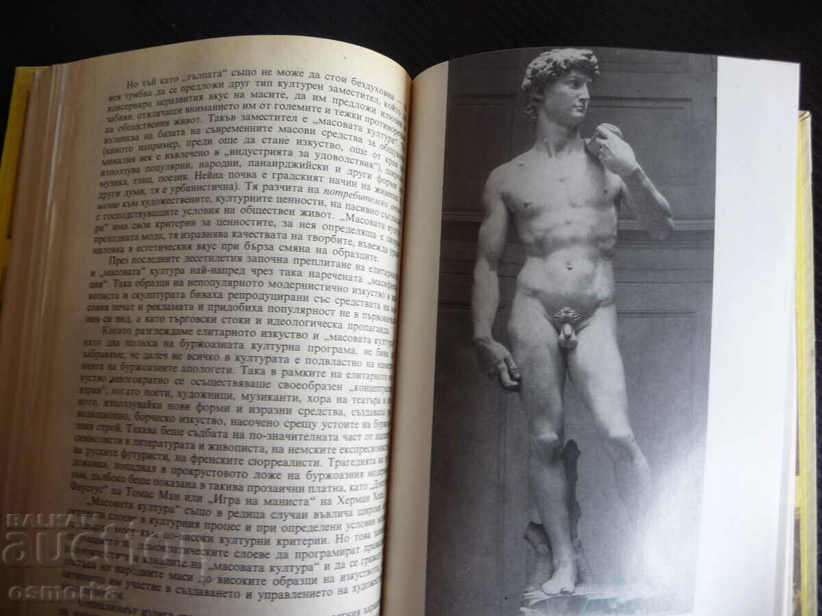 Delivery of Basics of aesthetics for 10th grade Krastyo Goranov art Delivery of Basics of aesthetics for 10th grade Krastyo Goranov art