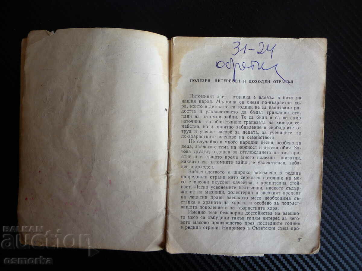 Δημοπρασία The Rabbit Breeder's Handbook μια χρήσιμη ανάγνωση για το αγρόκτημα του σπιτιού Δημοπρασία The Rabbit Breeder's Handbook μια χρήσιμη ανάγνωση για το αγρόκτημα του σπιτιού