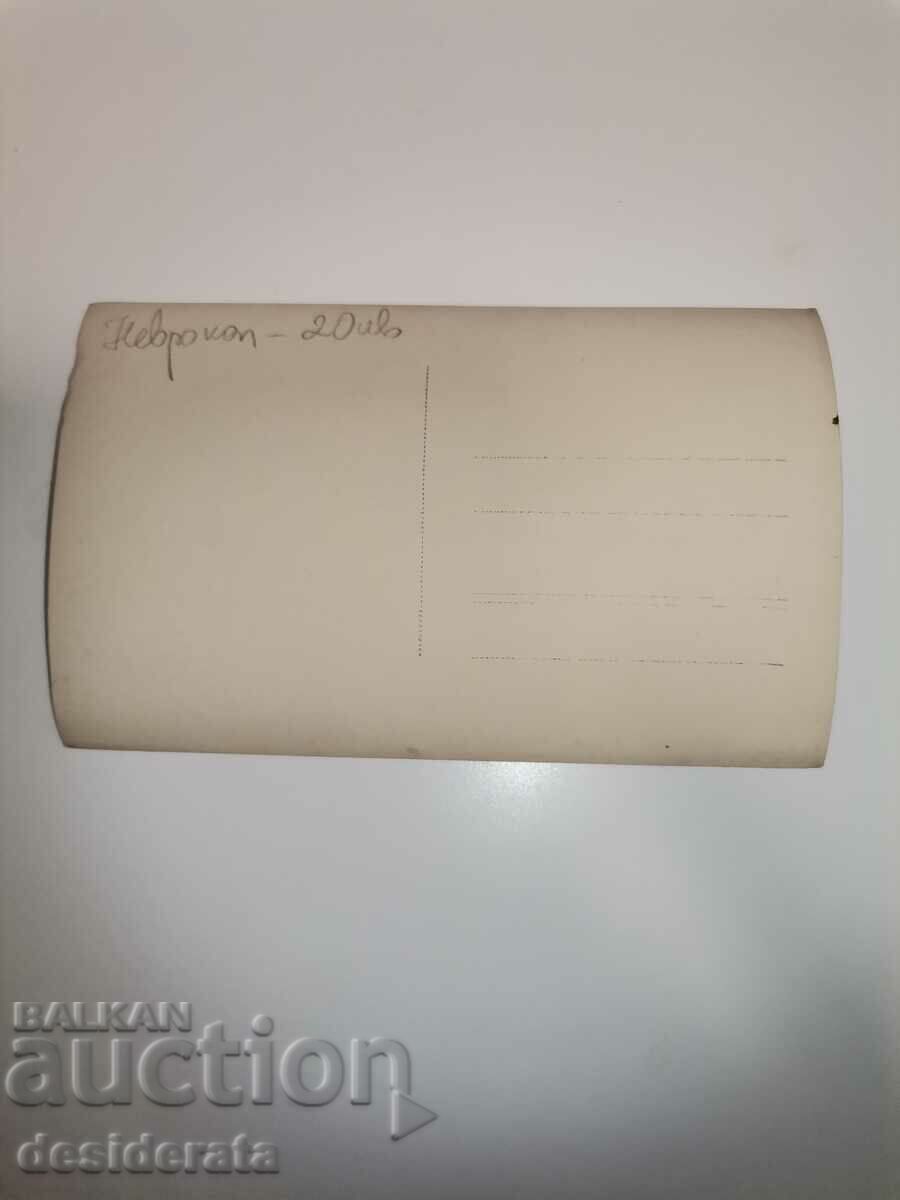 Old postcard with price 20.00 BGN | € 10.23 Old postcard with price 20.00 BGN | € 10.23