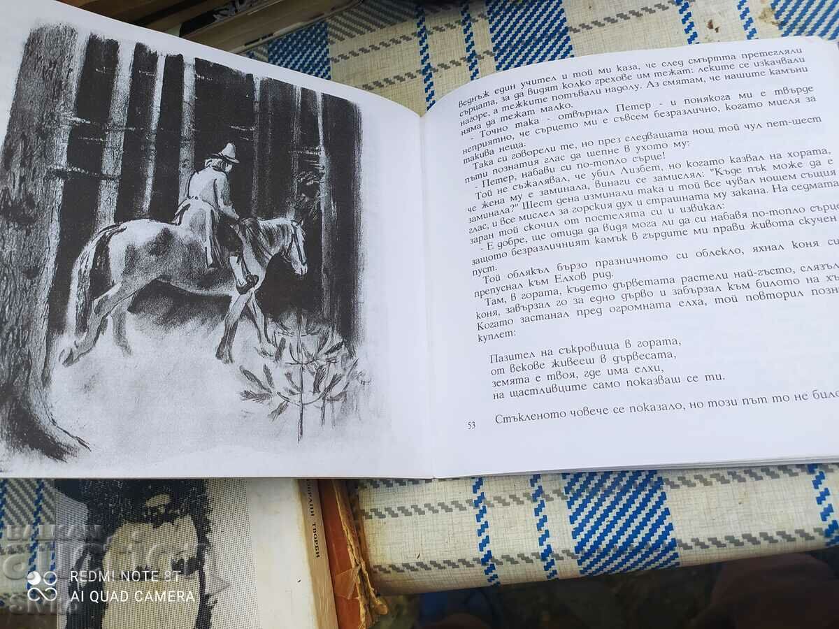 Cold Heart, Wilhelm Hauff, illustrations - 5 Cold Heart, Wilhelm Hauff, illustrations - 5