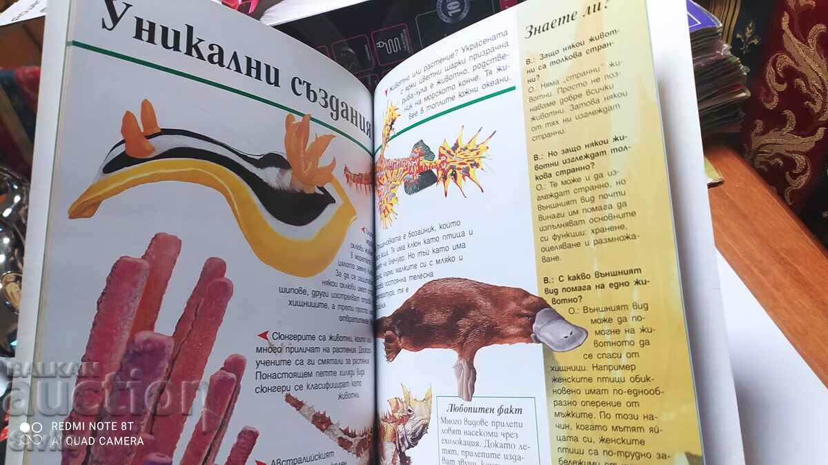 Enciclopedia animalelor pentru copii, Joyce Newson, prima ediție cu preț 2.99 BGN | € 1.53 Enciclopedia animalelor pentru copii, Joyce Newson, prima ediție cu preț 2.99 BGN | € 1.53